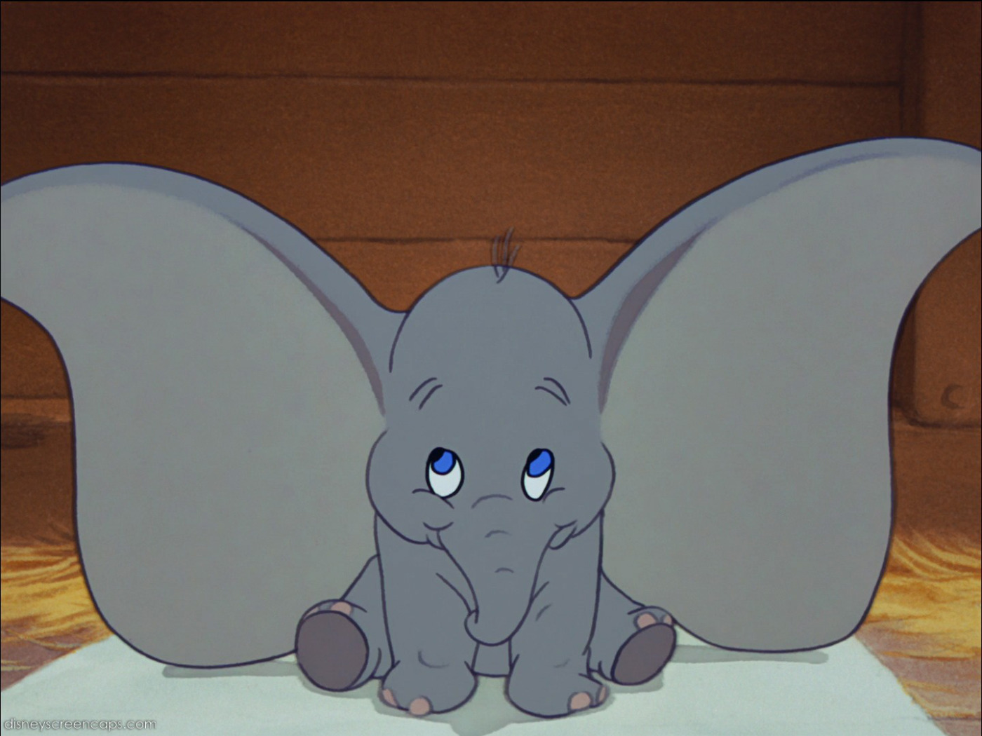 dumbo-2_1581_107706825