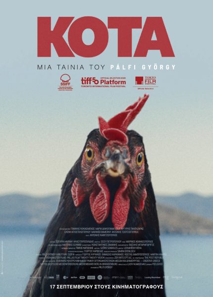 Κότα